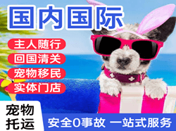 毕节飞雄航空运输国际宠物托运 【国